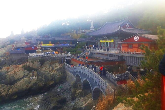 Jinhae Cherry Blossom and Busan Sunrise Tour From Seoul - Reviews and Ratings