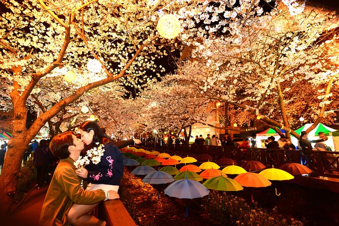 Jinhae Cherry Blossom Festival Tour - Cancellation Policy