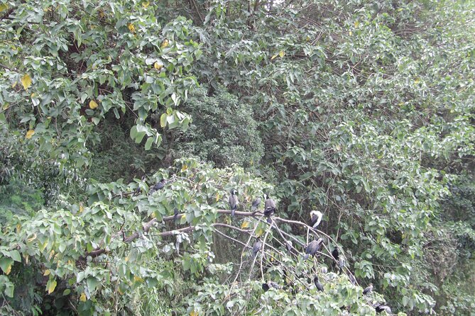 Jinja Tour & Source of River Nile - Included Meals and Refreshments