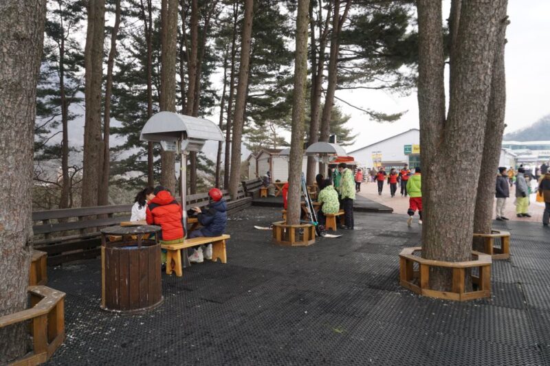 Jisan Forest Resort: Ski Full-Day Tour or Shuttle From Seoul - Activity Details