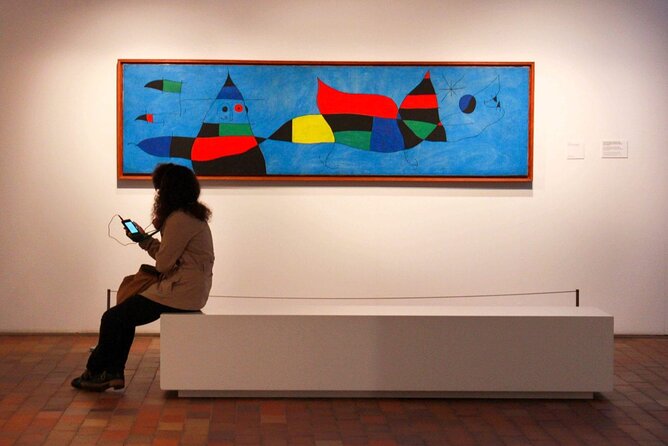 Joan Miró Foundation Tickets With Optional Transfer - Accessibility Information