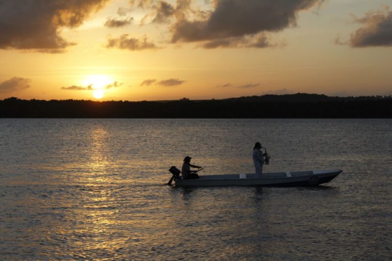 Joao Pessoa Northern Coast Beaches Day Tour - Inclusions and Fees