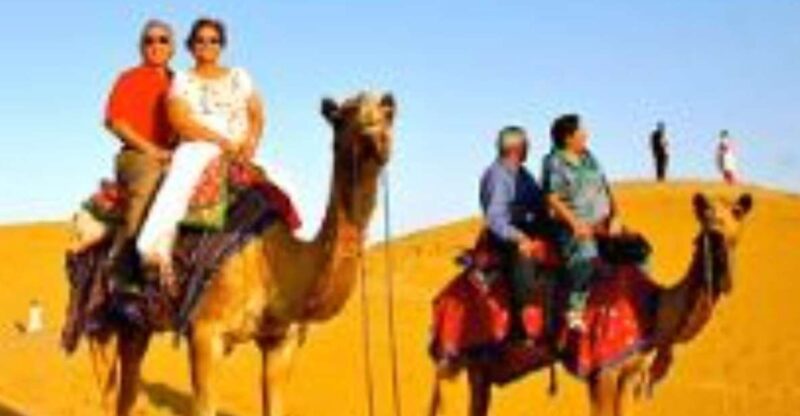 Jodhapur Camel Safari and Food - Key Points