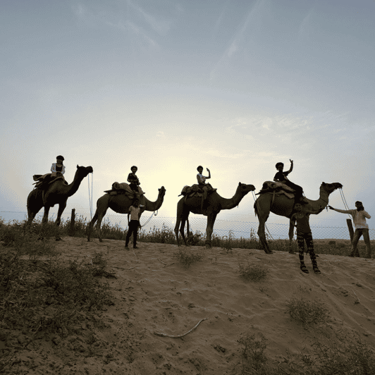Jodhapur Desert Camel and Jeep Safari SR - Pick-up and Drop-off