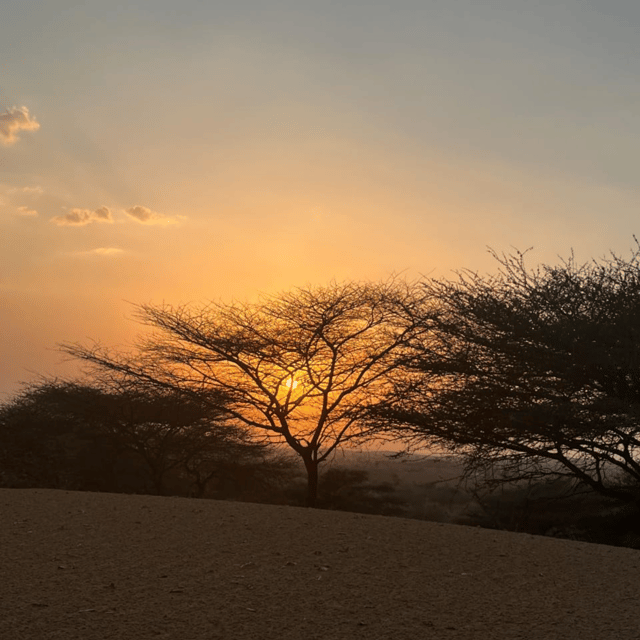 Jodhapur Desert Camel and Jeep Safari SR - Cancellation Policy