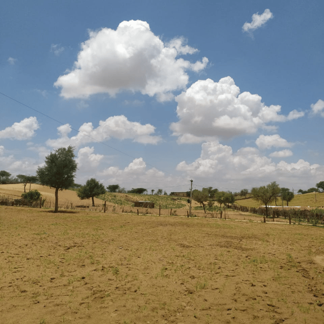Jodhapur Desert Camel and Jeep Safari SR - Validity and Languages