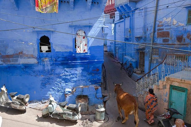 Jodhpur Blue City Tour - Customer Highlights