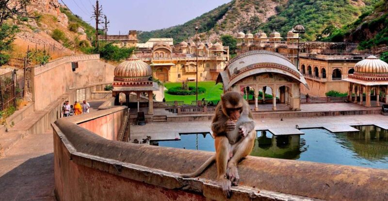 Jodhpur: Blue City Walking Tour - Key Points