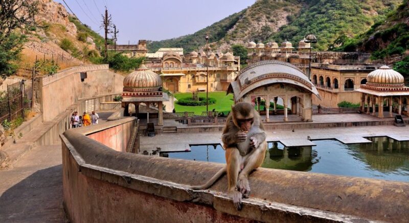 Jodhpur: Blue City Walking Tour - Pricing and Languages