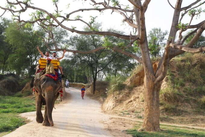 Jodhpur: Blue City Walking Tour - Customer Reviews