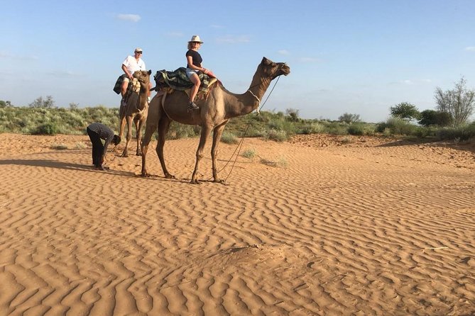 Jodhpur Camel Safari & Jeep Safari In Desert Jodhpur SR - Included Experiences