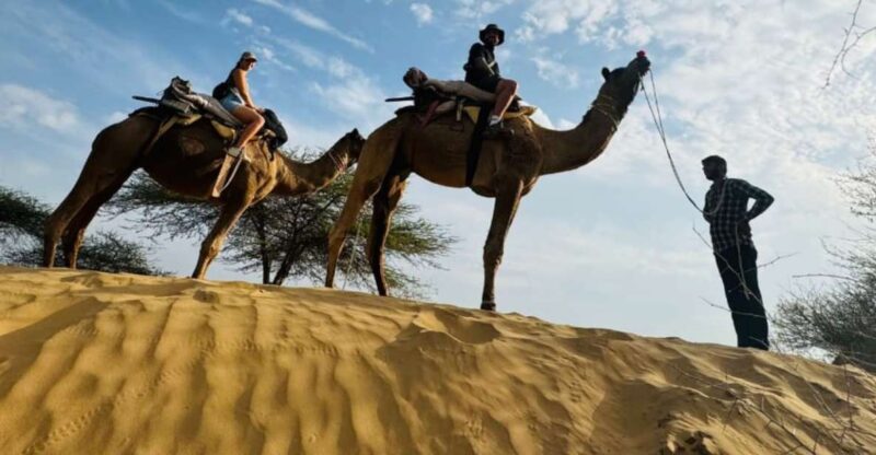 Jodhpur Camel Safari With Traditional Food With Sumer - Itinerary and Experience