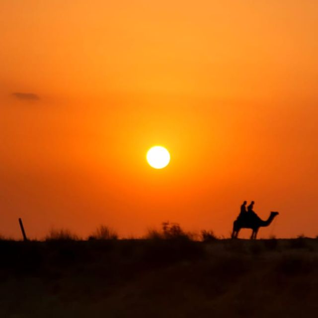 Jodhpur Camel Safari With Traditional Food With Sumer - Activities Included