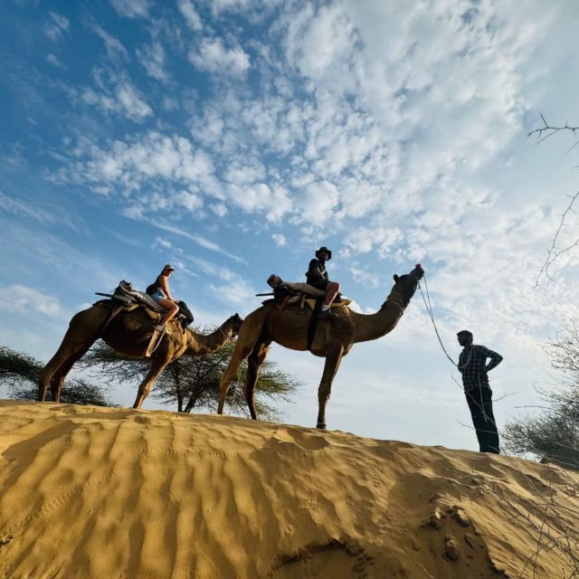 Jodhpur Camel Safari With Traditional Food With Sumer - Exploring Rural Village Life