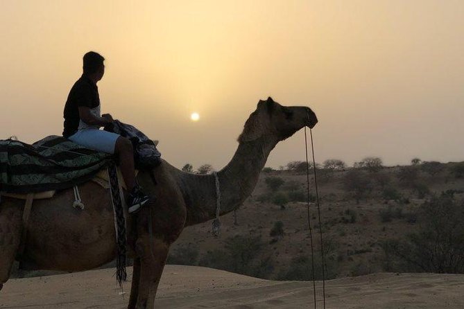 Jodhpur City Tour With Desert Safari And Village Safari Tour In 2 Days - Discovering Bishnoi Village Culture
