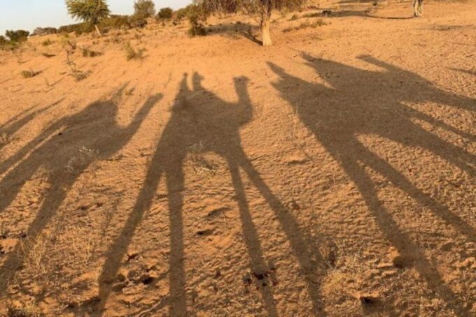 Jodhpur City Tour With Desert Safari And Village Safari Tour - Camel Safari in Thar Desert