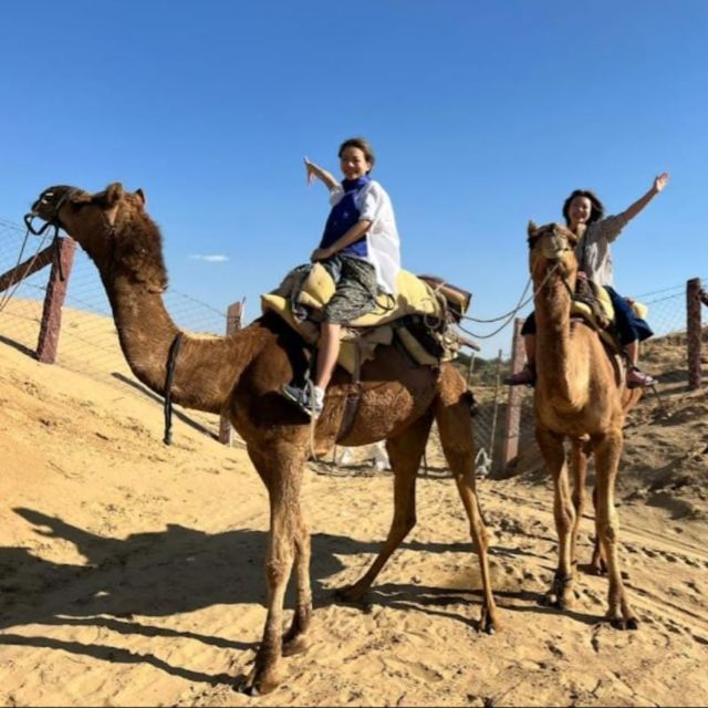 Jodhpur Desert Camel Safari& JeepSafari With Food With Sumer - Cultural Immersion