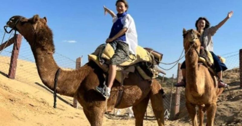 Jodhpur Desert Camel Safari& JeepSafari With Food With Sumer - Customer Feedback
