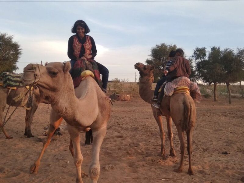 Jodhpur: Desert Jeep Safari and Camel Safari With Food - Key Points