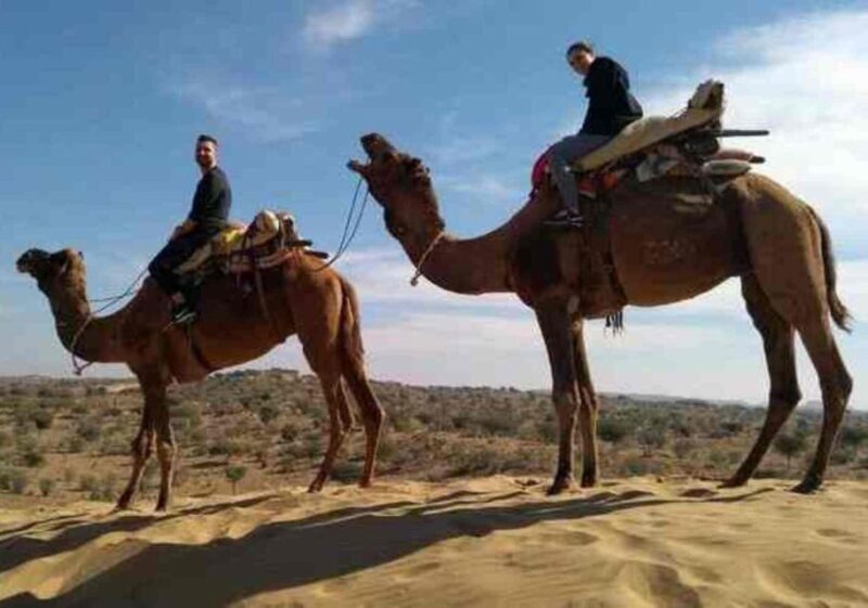 Jodhpur: Desert Jeep Safari and Camel Safari With Food - Jeep Safari in Thar Desert