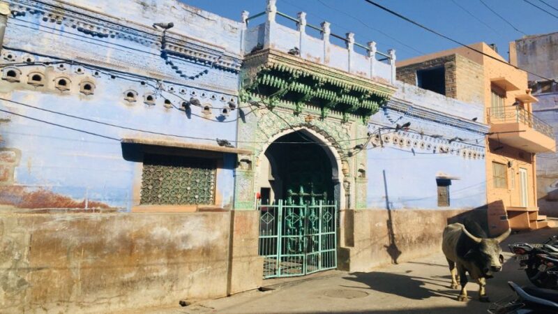 Jodhpur Experience With Bantu - Key Points