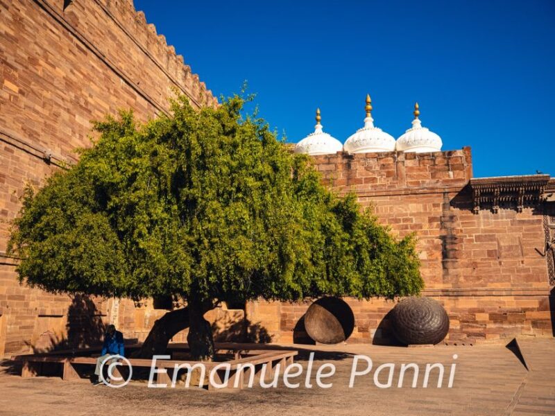 Jodhpur Full Day Sightseeing Day Tour With Driver and Car - Tour Restrictions and Guidelines