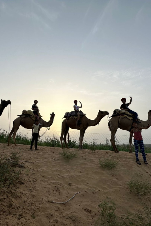 Jodhpur Overnight Camel Tour In Jodhpur Desert - Transportation and Logistics