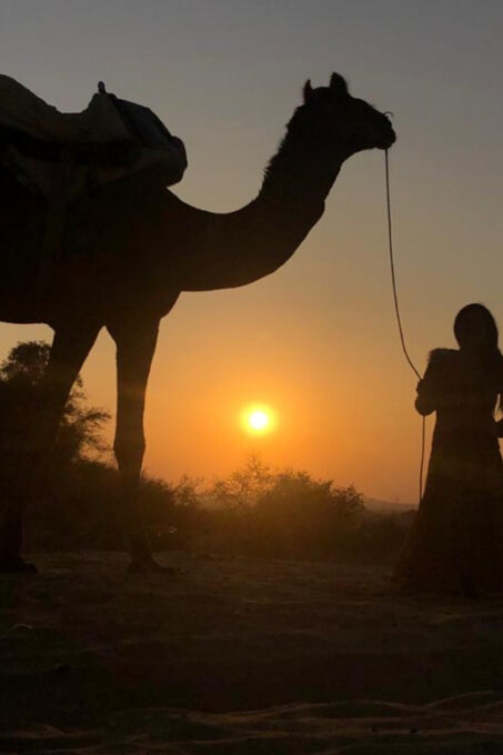 Jodhpur Overnight Desert Stay in a Rural Indian Village - Wildlife Spotting Opportunities