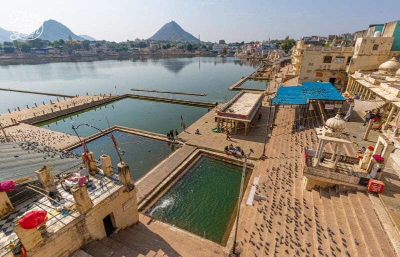 Jodhpur :Private Transfer to Jaisalmer, Jaipur, Pushkar - Experience Highlights