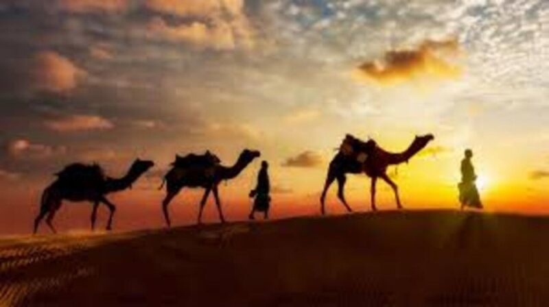 Jodhpur to Osian Camel Safari / Dinner at Dhani - Transportation and Pickup Options