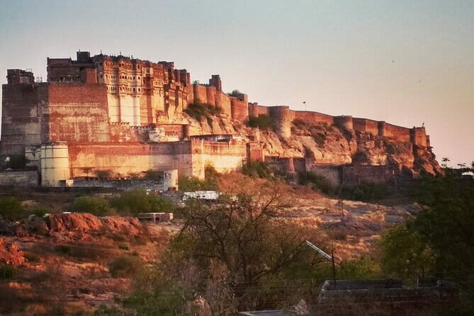 Jodhpur Walk With Kuku - FAQs