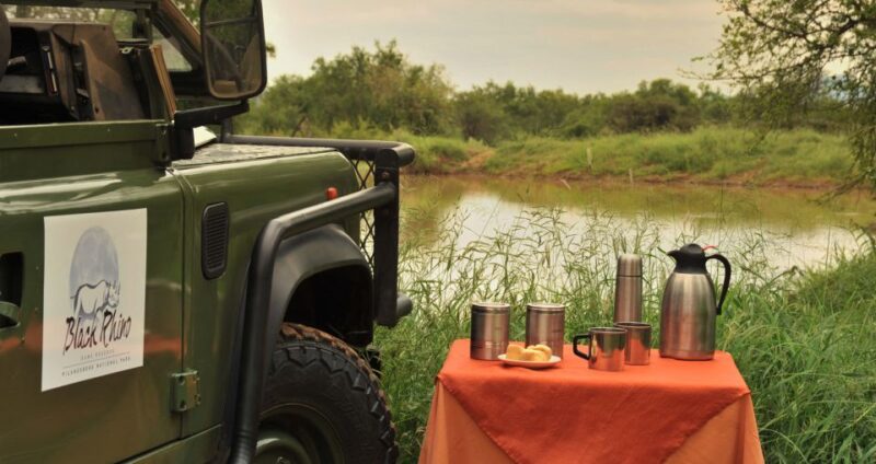 Johannesburg: 2-Day 4-Star Pilanesberg Safari - Highlights of the Safari