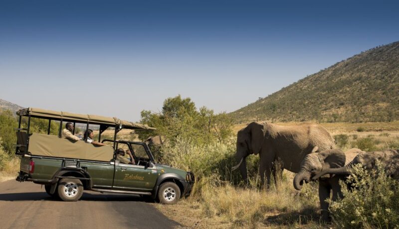Johannesburg: 2-Day 4-Star Pilanesberg Safari - Included in the Package