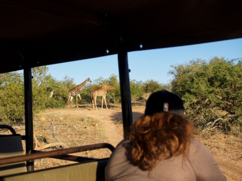 Johannesburg: 3-Day Classic Kruger National Park Safari Tour - Kruger Park Exploration