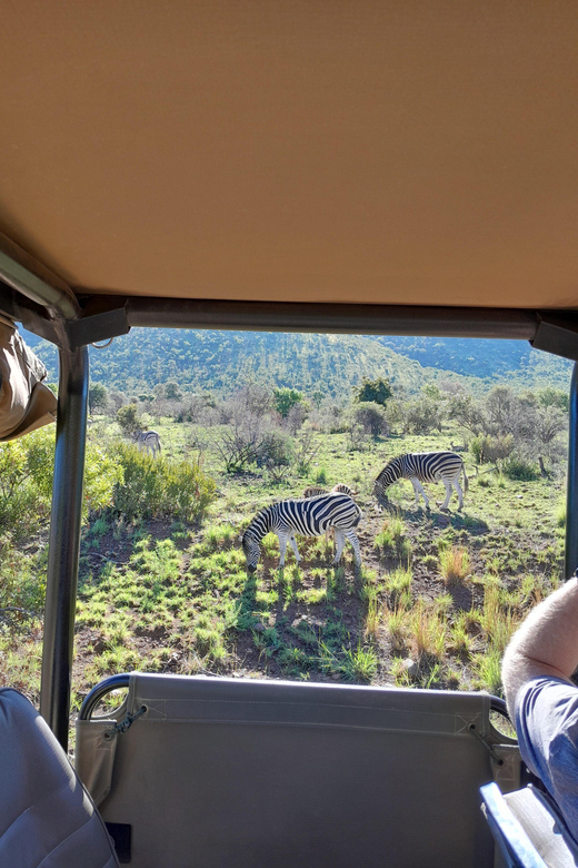Johannesburg: 3 Hour Pilanesberg National Park Game Drive - What to Bring and Restrictions