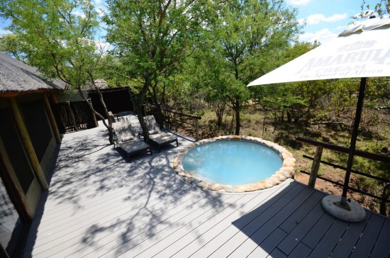Johannesburg: 6-Day Luxury Kruger National Park Safari - Sunset Game Drive