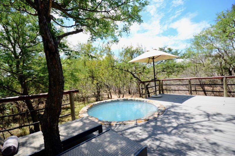 Johannesburg: 6-Day Luxury Kruger National Park Safari - Full-day Game Drives