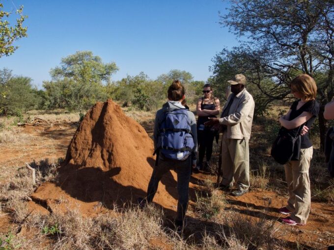 Johannesburg: 6-Day Luxury Kruger National Park Safari - Frequently Asked Questions