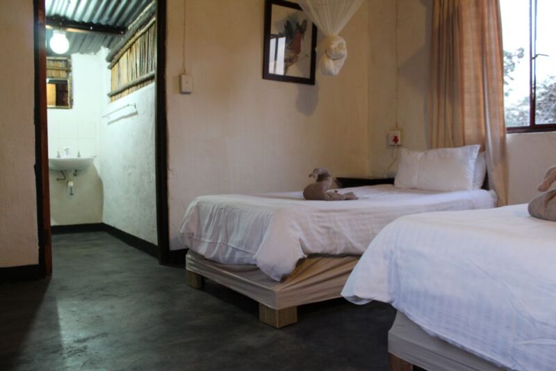 Johannesburg: Affordable 3 Day Kruger Park Safari - Key Points