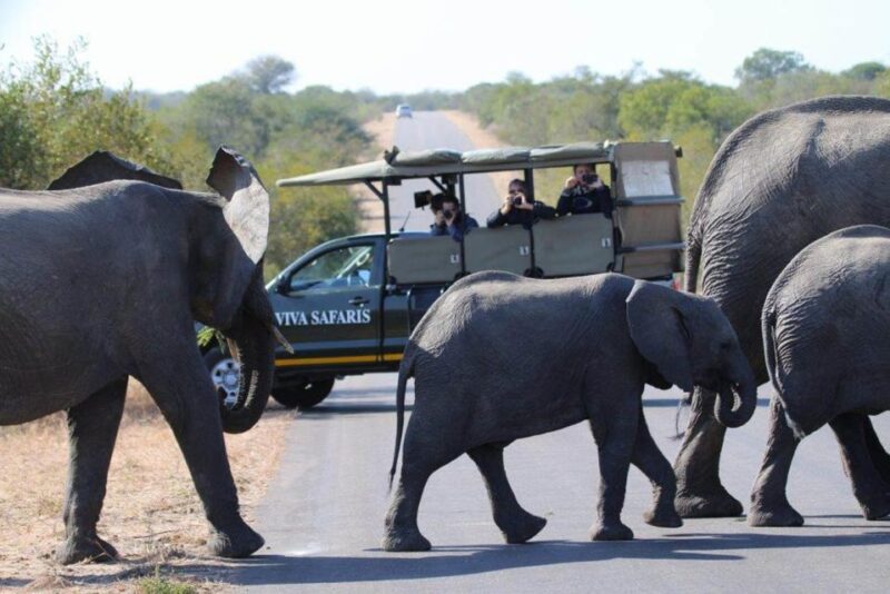 Johannesburg: Affordable 3 Day Kruger Park Safari - Logistical Details and Inclusions