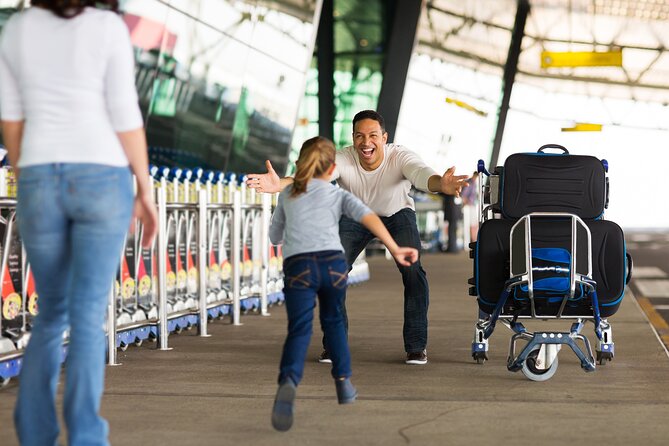 Johannesburg Airport Private Transfers: Departures (Hotel Pickup) - Accessibility and Capacity