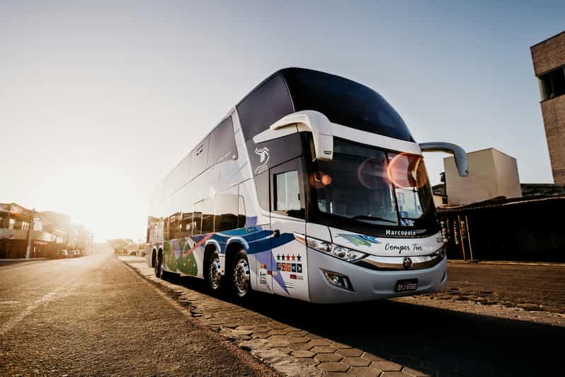 Johannesburg : Airport Transfers - Local Insights and Sightseeing