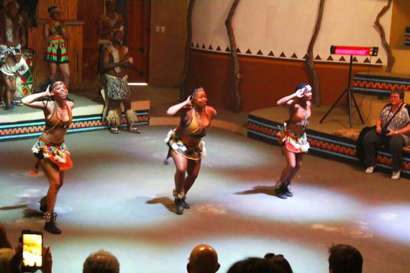 Johannesburg: Cradle of Human Kind & Lesedi Cultural Village - Pickup and Drop-off Options