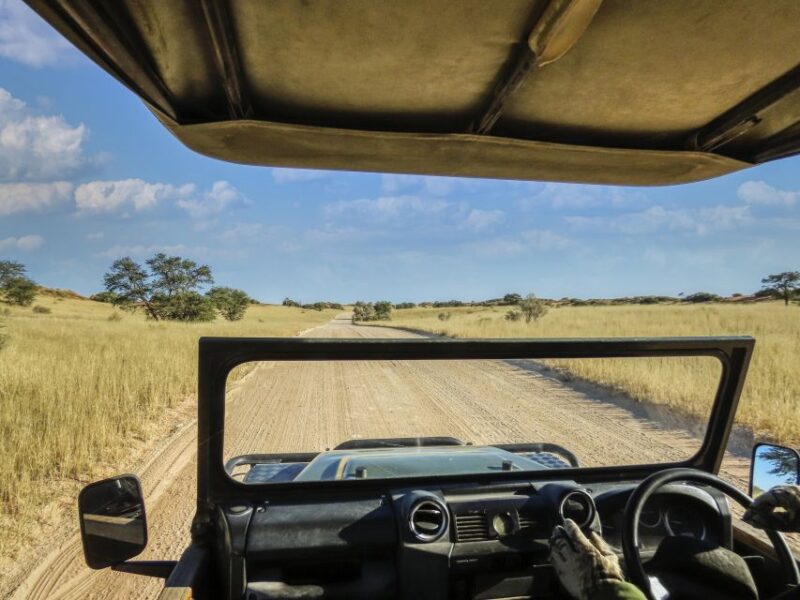 Johannesburg: Day Trip to Cradle of Humankind and Game Drive - Inclusions