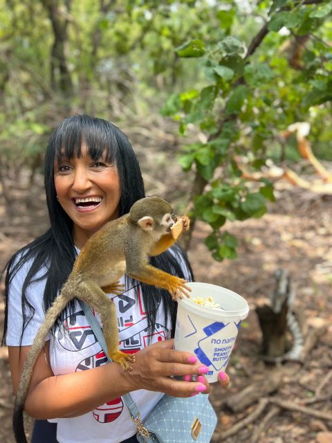 Johannesburg: Elephant and Monkey Sanctuary Half Day Tour - Hartbeespoort Monkey Sanctuary
