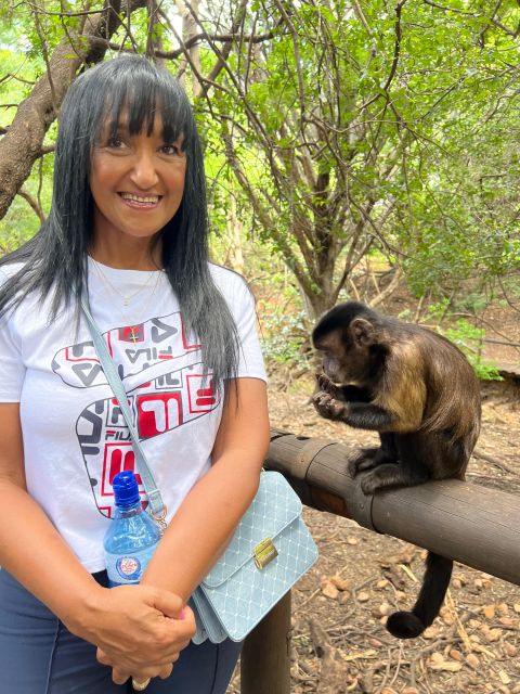 Johannesburg: Elephant and Monkey Sanctuary Half Day Tour - Inclusions and Exclusions