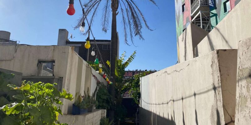 Johannesburg Hidden Gems Walking Tours by (Blackcattourisum) - Tour Inclusions