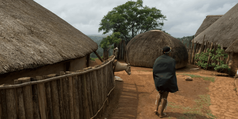 Johannesburg: Lesedi Cultural Village Day Tour With Lunch - Cultural Immersion