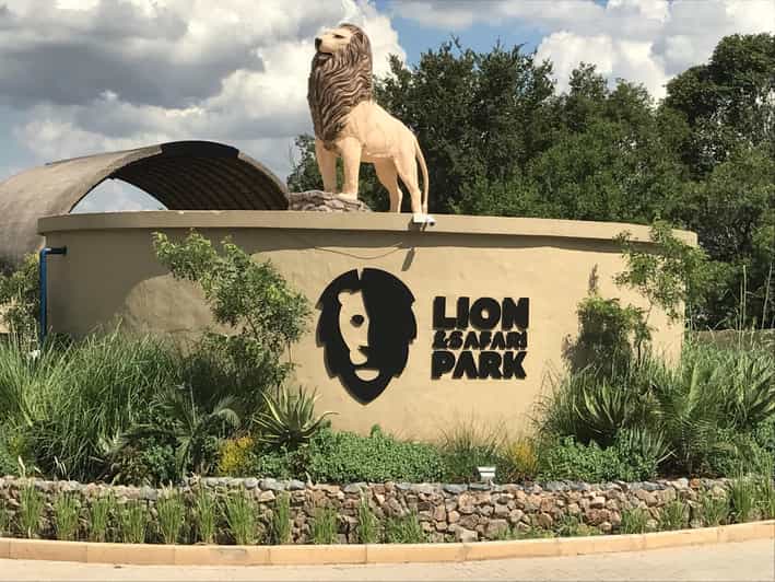 Johannesburg: Lion and Safari Park Open Vehicle Game Drive - Highlights of the Experience