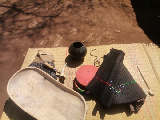 Johannesburg: Lion Park Safari and Cultural Village Tour - Discover Tribal Traditions and Culture